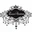 essexcouturestudio.shop favicon